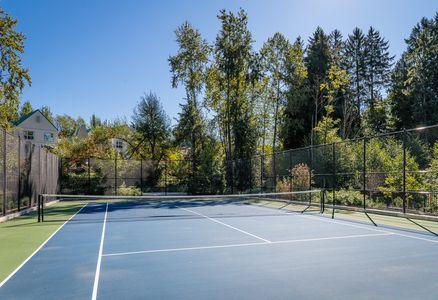 outdoor tennis court with vibrant blue and green surface surrounded by tall trees and residential houses under a clear blue sky, offering a serene and well-maintained recreational space for sports enthusiasts