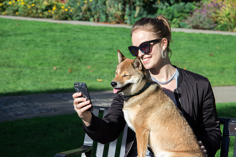 Canadian sitting on bench in park with shiba