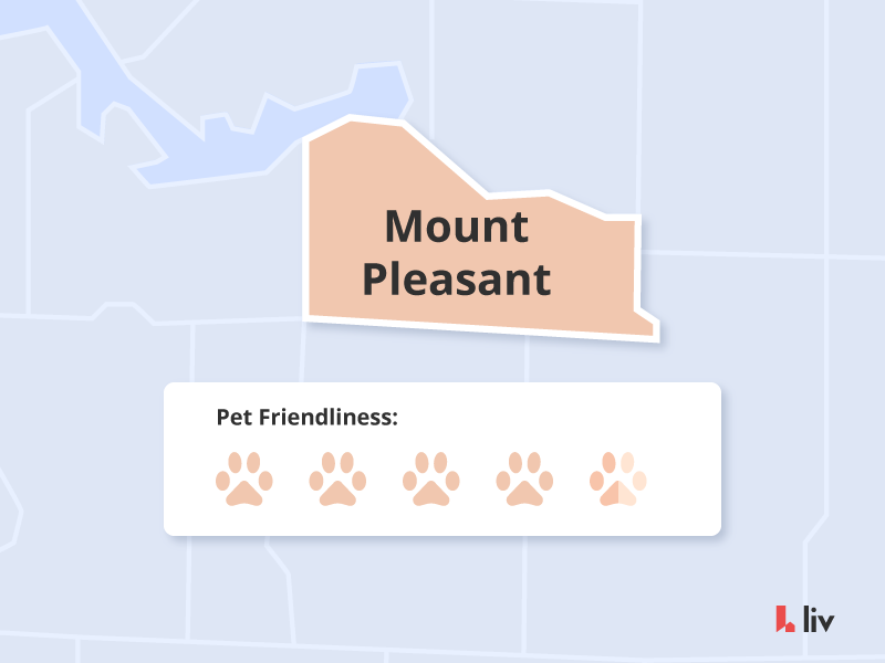 pet friendly rentals in mount pleasant vancouver via liv rent
