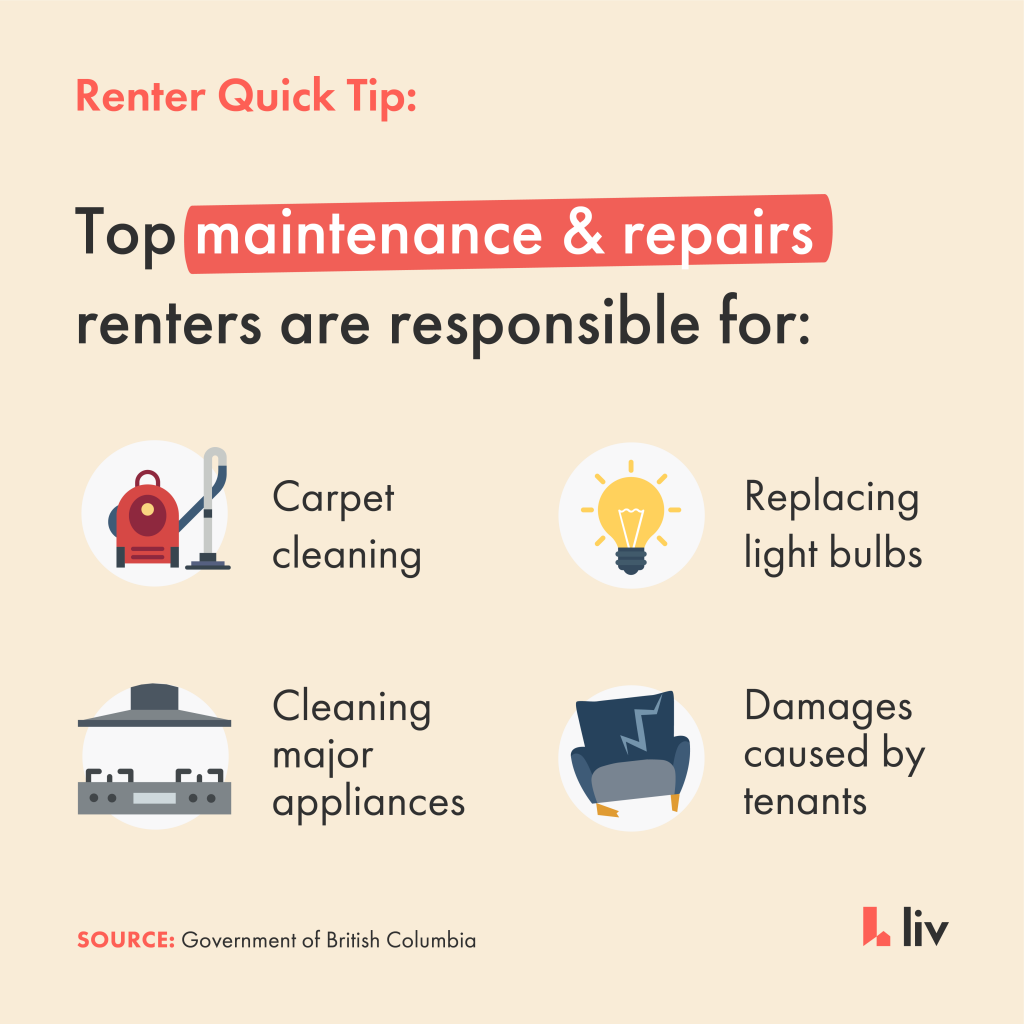 Property Maintenance Who Is Responsible For What liv.rent blog