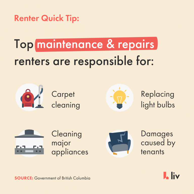 Property Maintenance Who Is Responsible For What? liv.rent blog