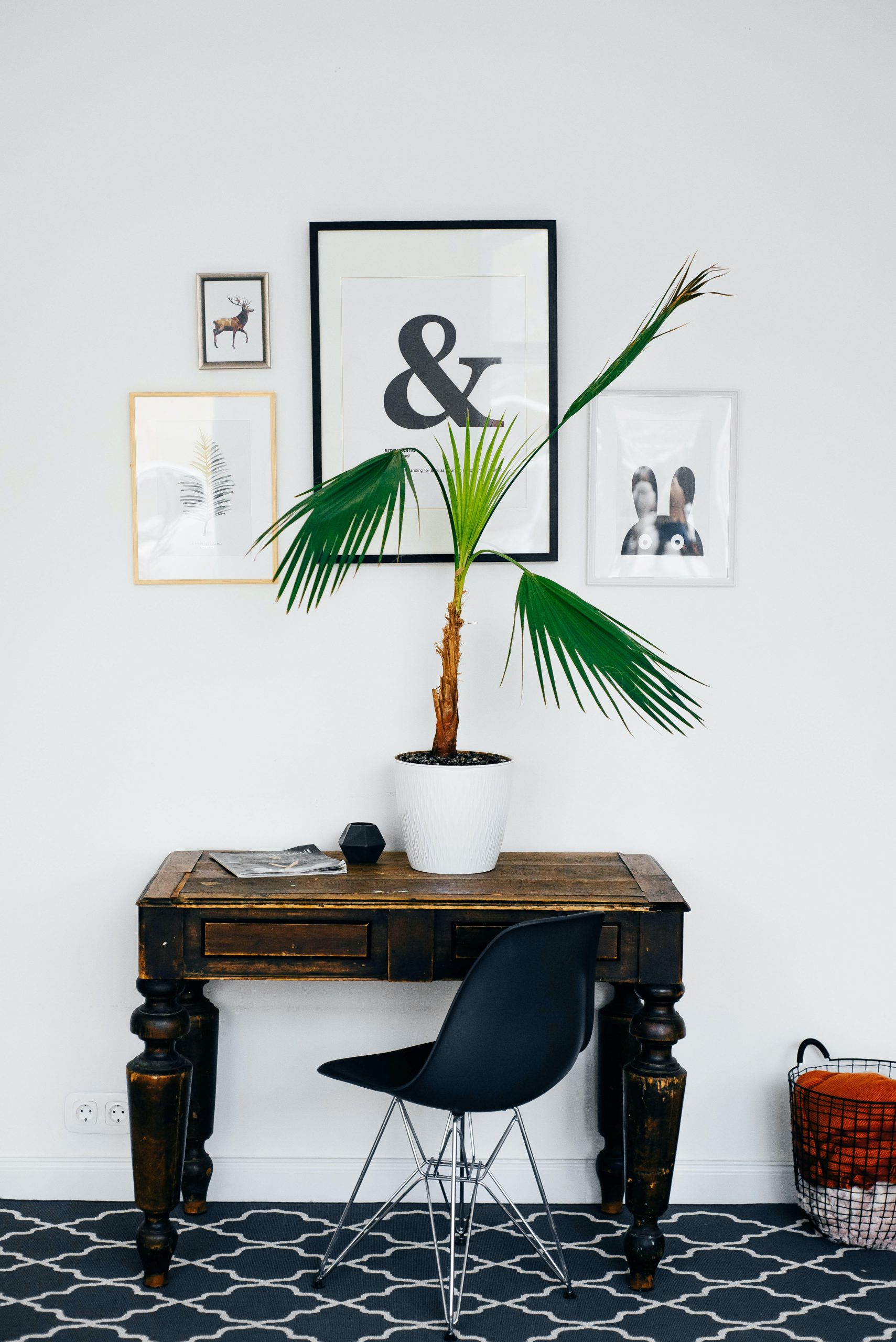 Home decorating ideas on a budget