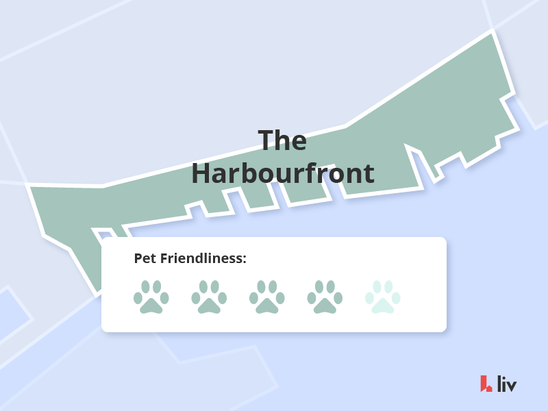 most pet friendly neighbourhoods in toronto the harbourfront via liv rent