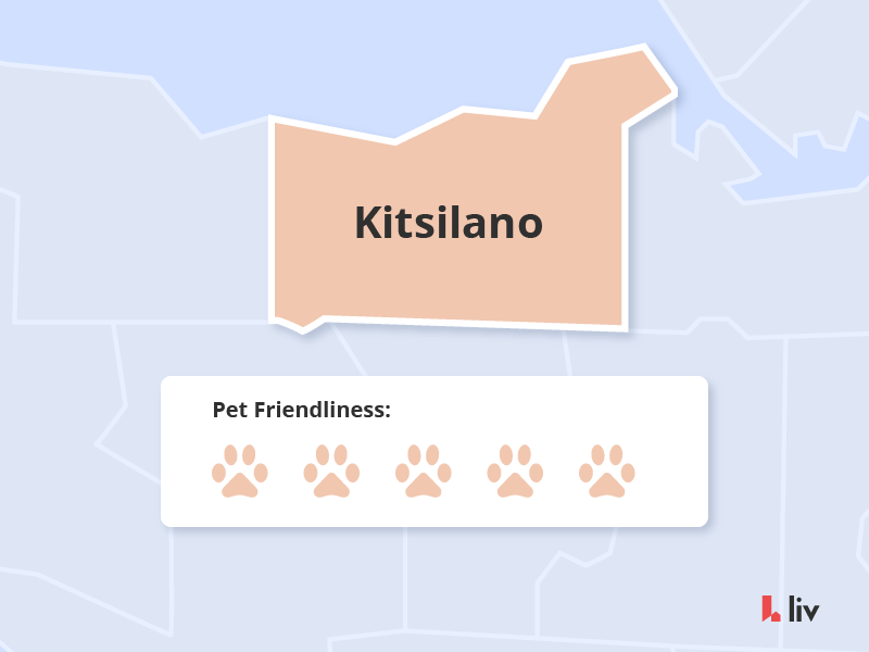 the most pet friendly neighbourhoods in vancouver kitsilano via liv rent