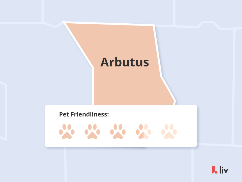 the most pet friendly neighbourhoods in vancouver arbutus via liv rent