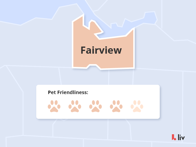the most pet friendly neighbourhoods in vancouver fairview via liv rent