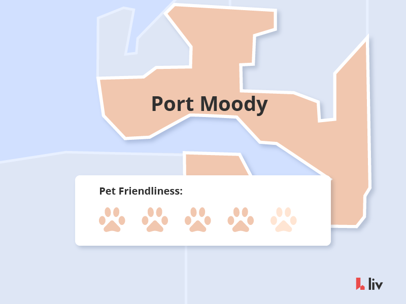 the most pet friendly neighbourhoods in vancouver port moody via liv rent